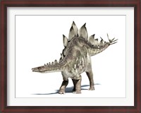 Framed 3D Rendering of a Stegosaurus Dinosaur