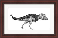 Framed Black Ink Drawing of Lythronax Argestes