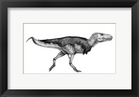 Framed Black Ink Drawing of Zhuchengtyrannus Magnus