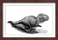 Framed Black Ink Drawing of Tarbosaurus Bataar
