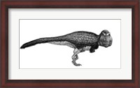 Framed Black Ink Drawing of Tyrannosaurus Rex