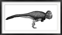 Black Ink Drawing of Tyrannosaurus Rex Framed Print