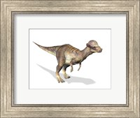 Framed 3D Rendering of a Pachycephalosaurus Dinosaur