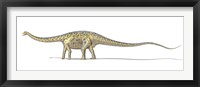 Framed 3D Rendering of a Diplodocus Dinosaur with Full Skeleton Superimposed
