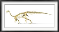 Framed 3D Rendering of a Plateosaurus