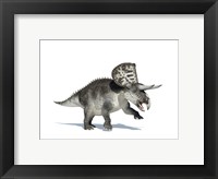 Framed 3D Rendering of a Zuniceratops Dinosaur