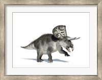 Framed 3D Rendering of a Zuniceratops Dinosaur