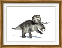 Framed 3D Rendering of a Zuniceratops Dinosaur