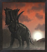 Framed Coahuilaceratops Walking through a Cretaceous Sunset