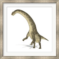 Framed Titanosaurus Dinosaur on White Background