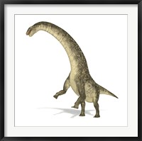 Framed Titanosaurus Dinosaur on White Background