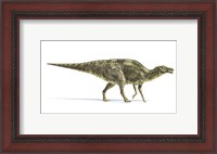 Framed Maiasaura Dinosaur on White Background