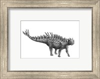 Framed Pencil Drawing of Huayangosaurus Taibaii