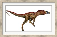 Framed Watercolor Painting of Xiongguanlong Baimoensis