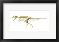 Framed 3D Rendering of a Giganotosaurus Dinosaur Skeleton