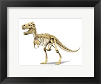 Framed 3D Rendering of a Tyrannosaurus Rex Dinosaur Skeleton