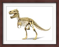 Framed 3D Rendering of a Tyrannosaurus Rex Dinosaur Skeleton