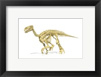 Framed 3D Rendering of an Lguanodon Dinosaur Skeleton