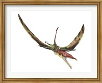 Framed Eudimorphodon Flying Prehistoric Reptile