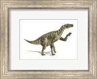 Framed Iguanodon Dinosaur in Dynamic Posture