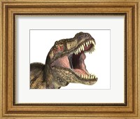 Framed Close-up of Tyrannosaurus Rex dinosaur with Mouth Open