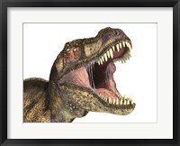 Framed Close-up of Tyrannosaurus Rex dinosaur with Mouth Open