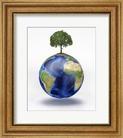 Framed Planet Earth with a Tree Growing on Top