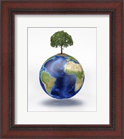 Framed Planet Earth with a Tree Growing on Top