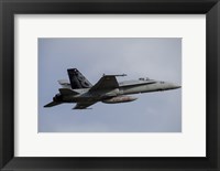 Framed Swiss Air Force F-18C Hornet used for Air Policing