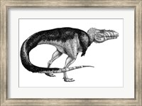 Framed Black Ink Drawing of Alioramus Remotus