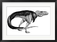 Framed Black Ink Drawing of Alioramus Remotus