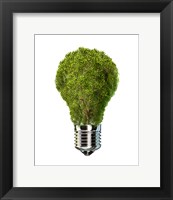 Framed Light Bulb with Tree Inside glass, Isolated on White Background