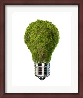 Framed Light Bulb with Tree Inside glass, Isolated on White Background