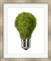 Framed Light Bulb with Tree Inside glass, Isolated on White Background