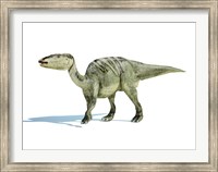 Framed 3D Rendering of an Edmontosaurus Dinosaur