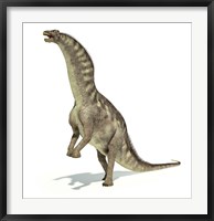 Framed Amargasaurus Dinosaur in Dynamic Posture