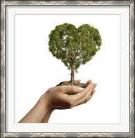 Framed Woman's Hands holding Soil with a Tree Heart Shaped