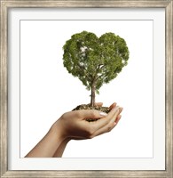 Framed Woman's Hands holding Soil with a Tree Heart Shaped