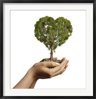 Framed Woman's Hands holding Soil with a Tree Heart Shaped