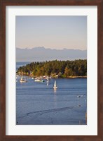 Framed Nanaimo, Vancouver Island, British Columbia, Canada