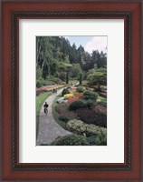 Framed Sunken Garden at Butchart Gardens, Vancouver Island, British Columbia, Canada