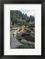 Framed Sunken Garden at Butchart Gardens, Vancouver Island, British Columbia, Canada