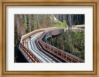 Framed Bicycling, Kettle Valley Railway, British Columbia