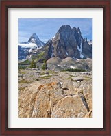 Framed Scenic of Mt Assiniboine and Wedgwood Peak, BC, Canada