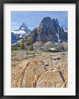 Framed Scenic of Mt Assiniboine and Wedgwood Peak, BC, Canada