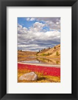 Framed Grassland landscape, Lac Du Bois Grasslands Park, Kamloops, BC, Canada