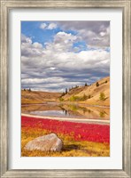 Framed Grassland landscape, Lac Du Bois Grasslands Park, Kamloops, BC, Canada
