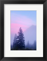 Framed Canada, British Columbia, Mount Robson Park Foggy sunrise
