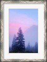 Framed Canada, British Columbia, Mount Robson Park Foggy sunrise