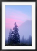 Framed Canada, British Columbia, Mount Robson Park Foggy sunrise